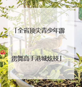 全省顶尖青少年霹雳舞高手港城炫技