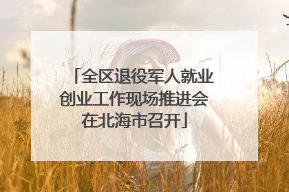全区退役军人就业创业工作现场推进会在北海市召开