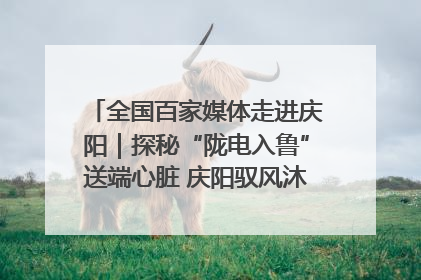 全国百家媒体走进庆阳｜探秘“陇电入鲁”送端心脏 庆阳驭风沐光点亮齐鲁万家