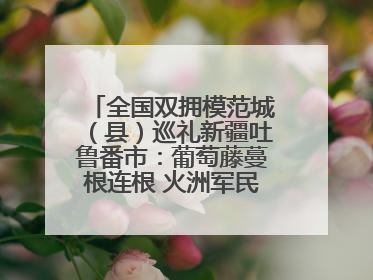 全国双拥模范城（县）巡礼新疆吐鲁番市：葡萄藤蔓根连根 火洲军民心连心