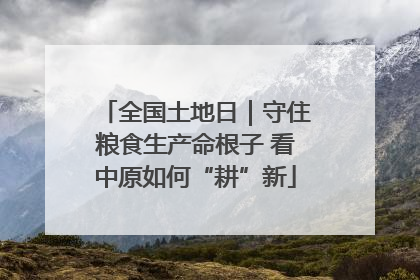 全国土地日｜守住粮食生产命根子 看中原如何“耕”新