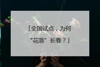 全国试点，为何“花落”长春？