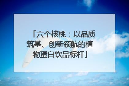 六个核桃：以品质筑基、创新领航的植物蛋白饮品标杆