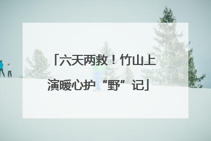 六天两救！竹山上演暖心护“野”记