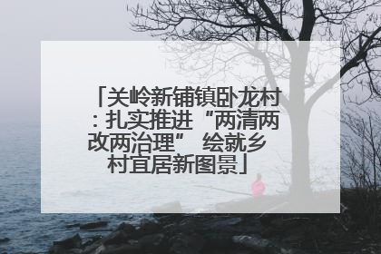 关岭新铺镇卧龙村：扎实推进“两清两改两治理” 绘就乡村宜居新图景