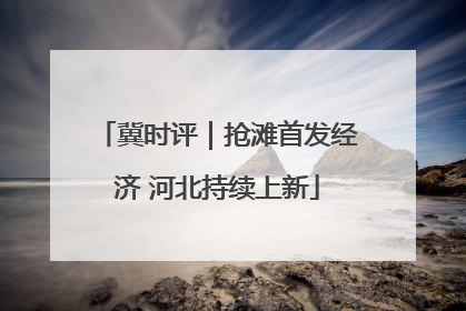 冀时评｜抢滩首发经济 河北持续上新