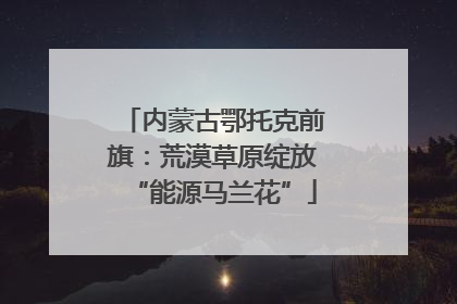 内蒙古鄂托克前旗：荒漠草原绽放“能源马兰花”