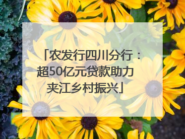 农发行四川分行：超50亿元贷款助力夹江乡村振兴