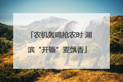 农机轰鸣抢农时 湖滨“开镰”麦飘香