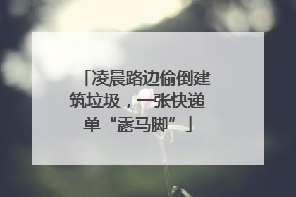 凌晨路边偷倒建筑垃圾，一张快递单“露马脚”
