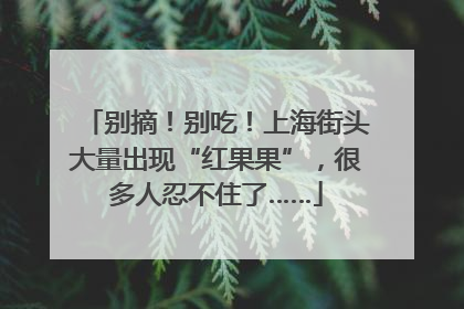 别摘！别吃！上海街头大量出现“红果果”，很多人忍不住了……