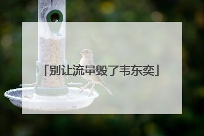 别让流量毁了韦东奕