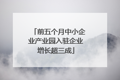 前五个月中小企业产业园入驻企业增长超三成