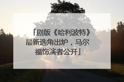 剧版《哈利波特》最新选角出炉，马尔福饰演者公开