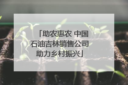 助农惠农 中国石油吉林销售公司助力乡村振兴