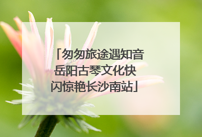 匆匆旅途遇知音 岳阳古琴文化快闪惊艳长沙南站