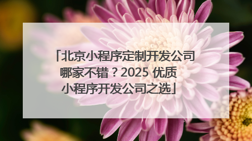北京小程序定制开发公司哪家不错？2025 优质小程序开发公司之选