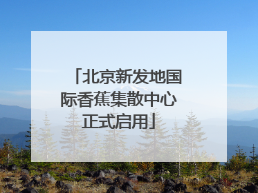 北京新发地国际香蕉集散中心正式启用