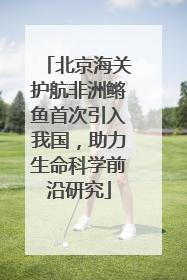 北京海关护航非洲鳉鱼首次引入我国，助力生命科学前沿研究