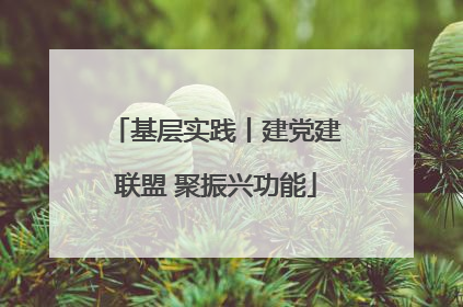 基层实践丨建党建联盟 聚振兴功能