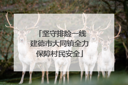 坚守排险一线 建德市大同镇全力保障村民安全
