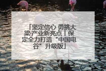 坚定信心 勇挑大梁·产业新亮点丨保定全力打造“中国电谷”升级版