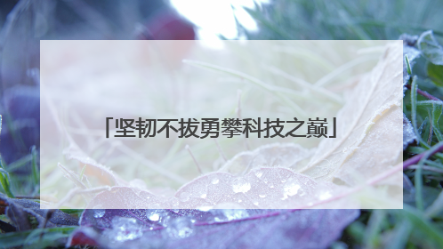 坚韧不拔勇攀科技之巅