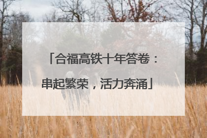 合福高铁十年答卷：串起繁荣，活力奔涌