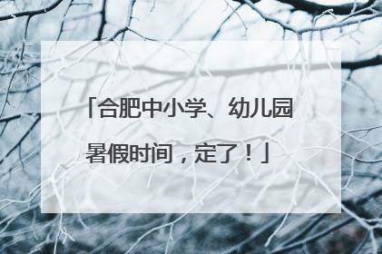 合肥中小学、幼儿园暑假时间，定了！