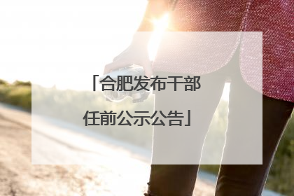 合肥发布干部任前公示公告