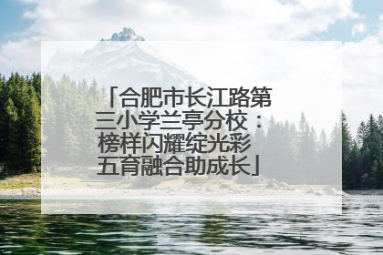 合肥市长江路第三小学兰亭分校：榜样闪耀绽光彩 五育融合助成长