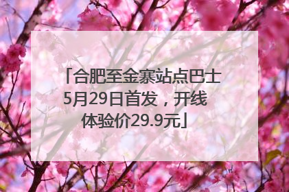 合肥至金寨站点巴士5月29日首发，开线体验价29.9元