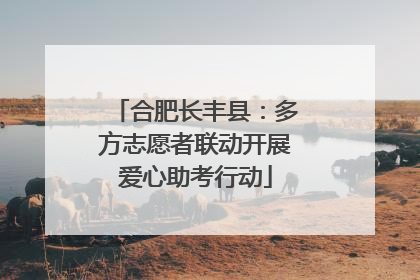 合肥长丰县：多方志愿者联动开展爱心助考行动