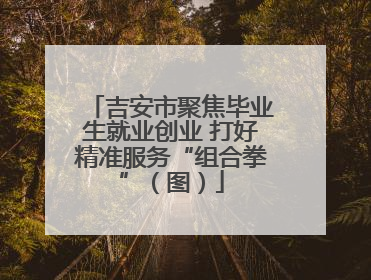 吉安市聚焦毕业生就业创业 打好精准服务“组合拳”（图）