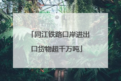 同江铁路口岸进出口货物超千万吨