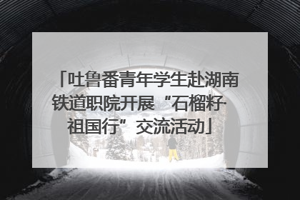 吐鲁番青年学生赴湖南铁道职院开展“石榴籽·祖国行”交流活动