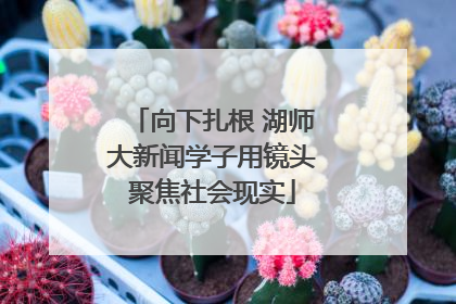 向下扎根 湖师大新闻学子用镜头聚焦社会现实