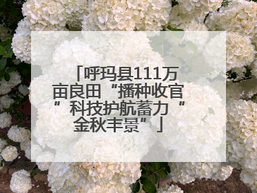 呼玛县111万亩良田“播种收官”科技护航蓄力“金秋丰景”