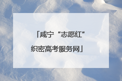咸宁“志愿红”织密高考服务网