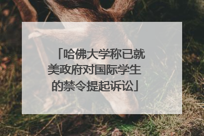 哈佛大学称已就美政府对国际学生的禁令提起诉讼