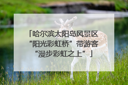 哈尔滨太阳岛风景区“阳光彩虹桥”带游客“漫步彩虹之上”