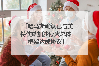哈马斯确认已与美特使就加沙停火总体框架达成协议