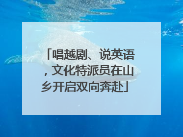 唱越剧、说英语，文化特派员在山乡开启双向奔赴