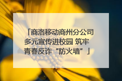 商洛移动商州分公司多元宣传进校园 筑牢青春反诈“防火墙”
