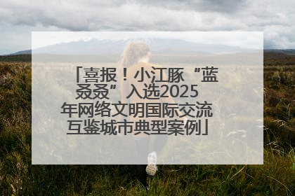 喜报！小江豚“蓝叒叒”入选2025年网络文明国际交流互鉴城市典型案例