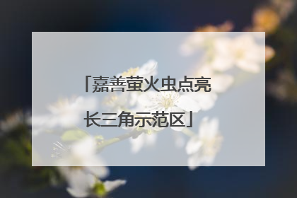 嘉善萤火虫点亮长三角示范区