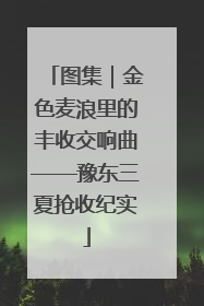 图集｜金色麦浪里的丰收交响曲——豫东三夏抢收纪实