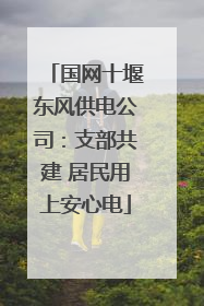 国网十堰东风供电公司：支部共建 居民用上安心电