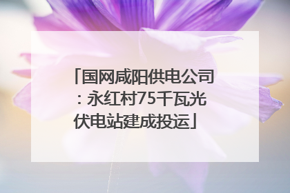 国网咸阳供电公司：永红村75千瓦光伏电站建成投运