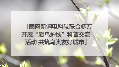 国网新疆电科院联合多方开展“爱鸟护线”科普交流活动 共筑鸟类友好城市